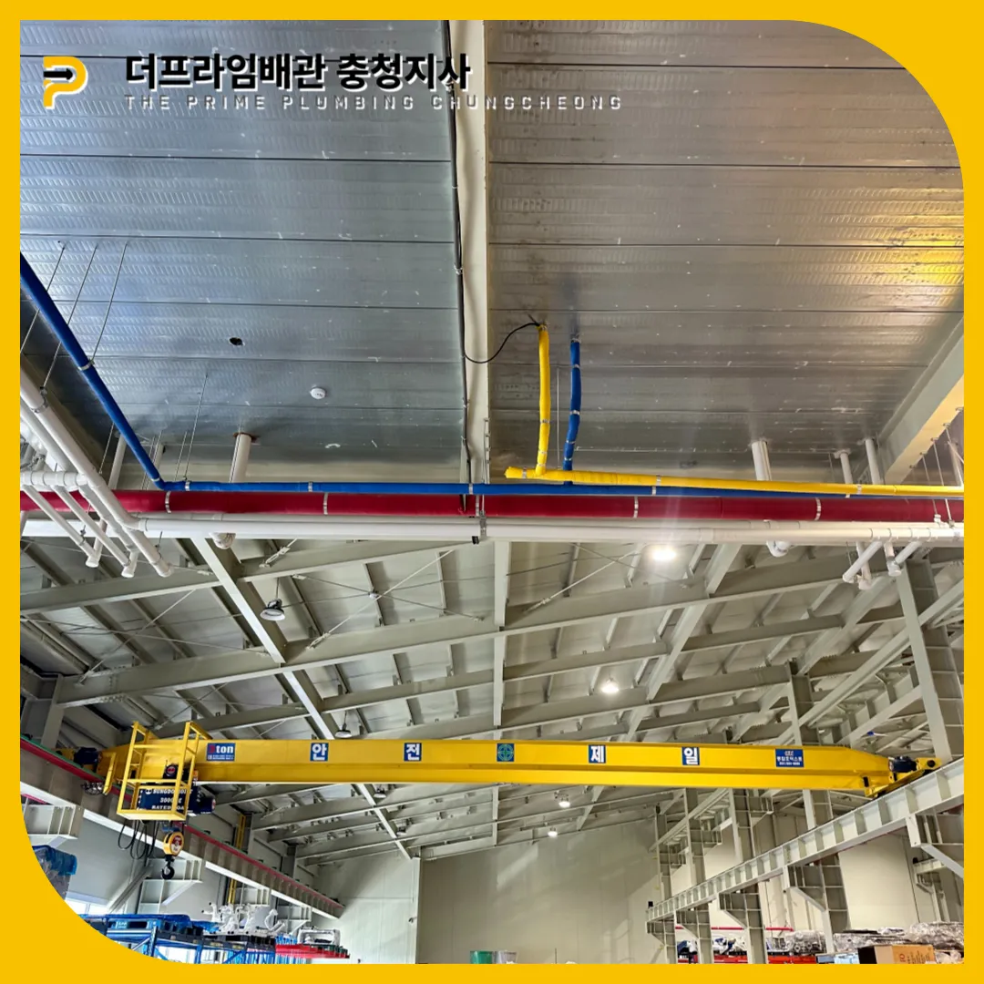 횡주관막힘