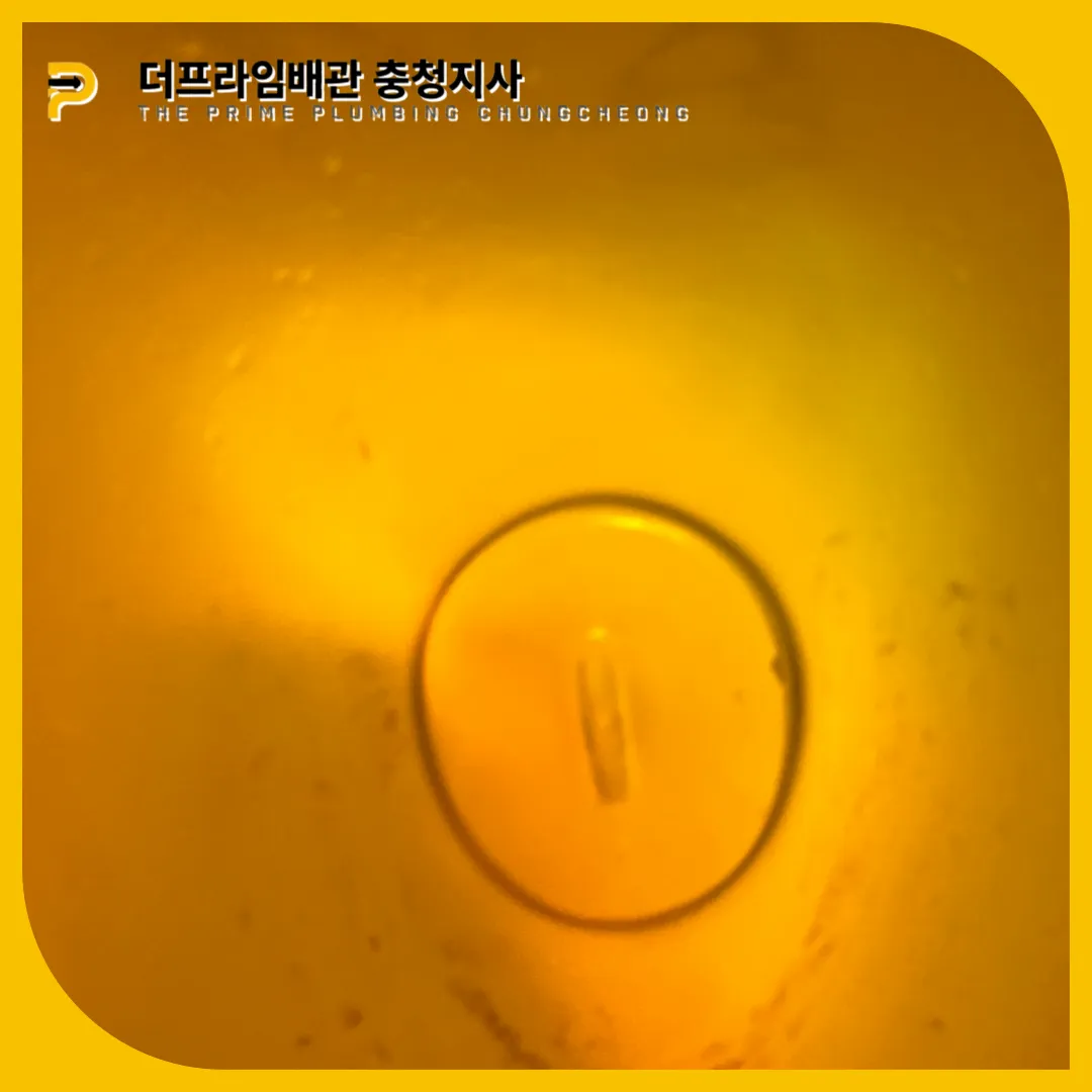 서교동소변기막힘