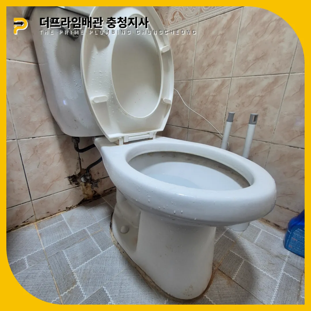 변기막힘