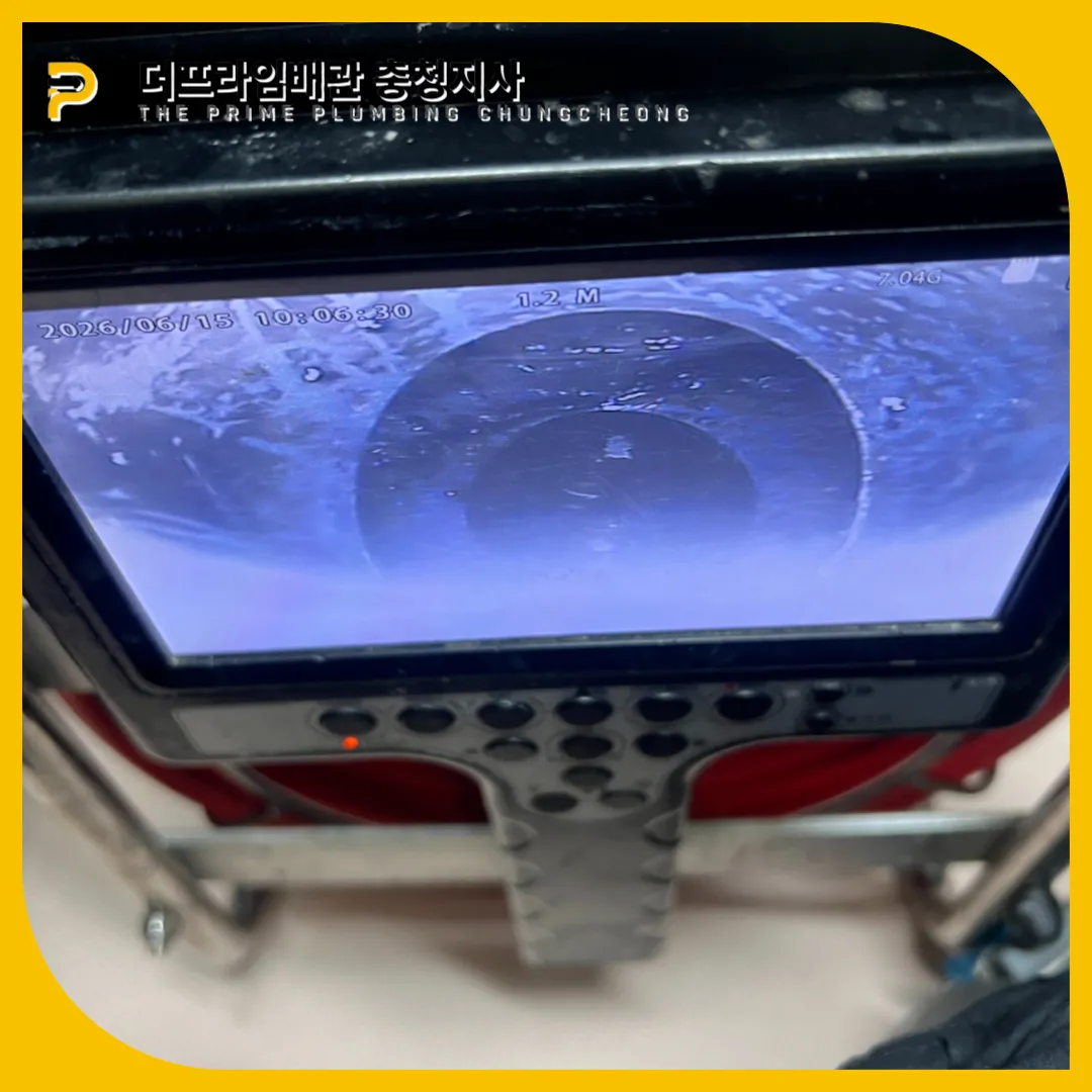 삭은주름관