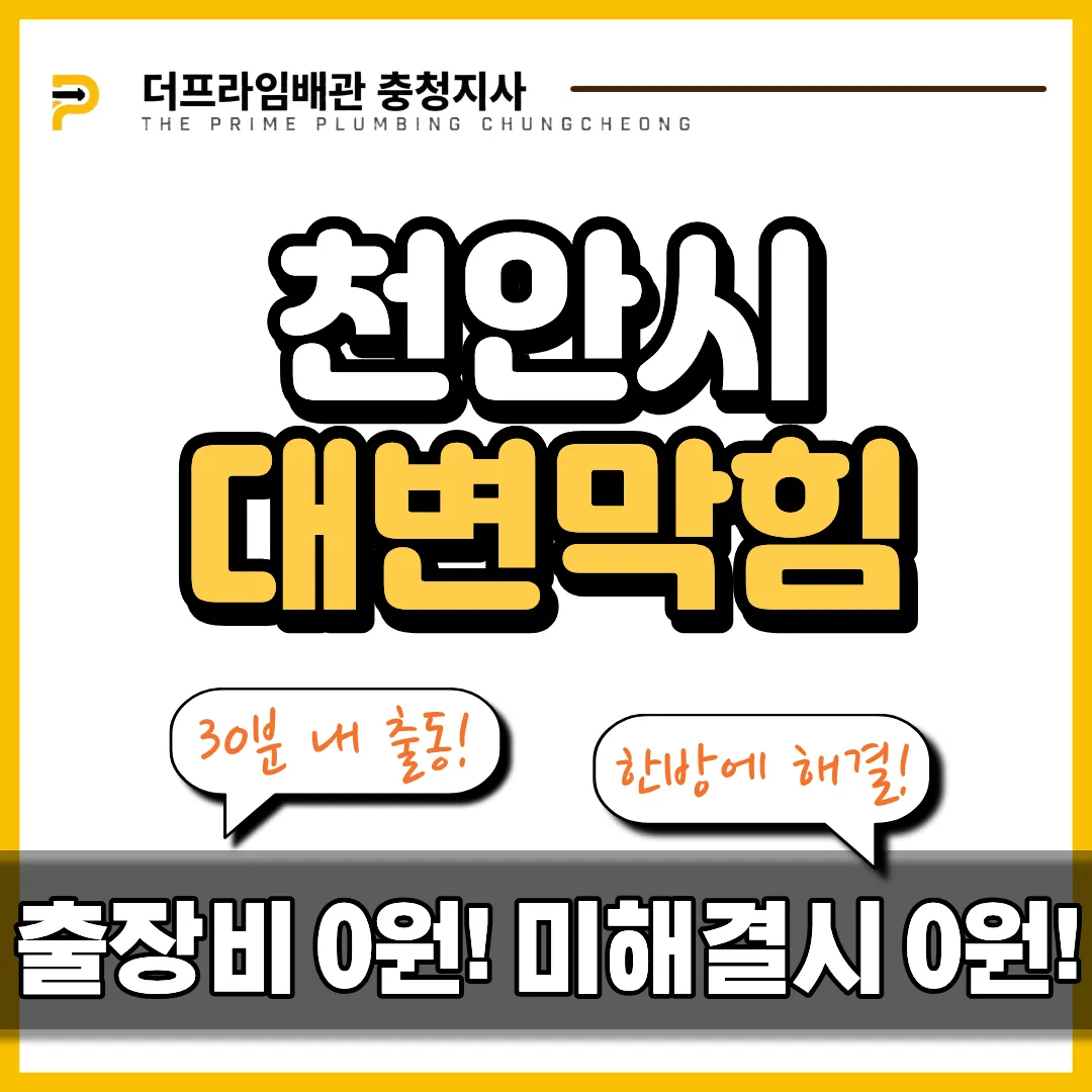 천안시대변막힘