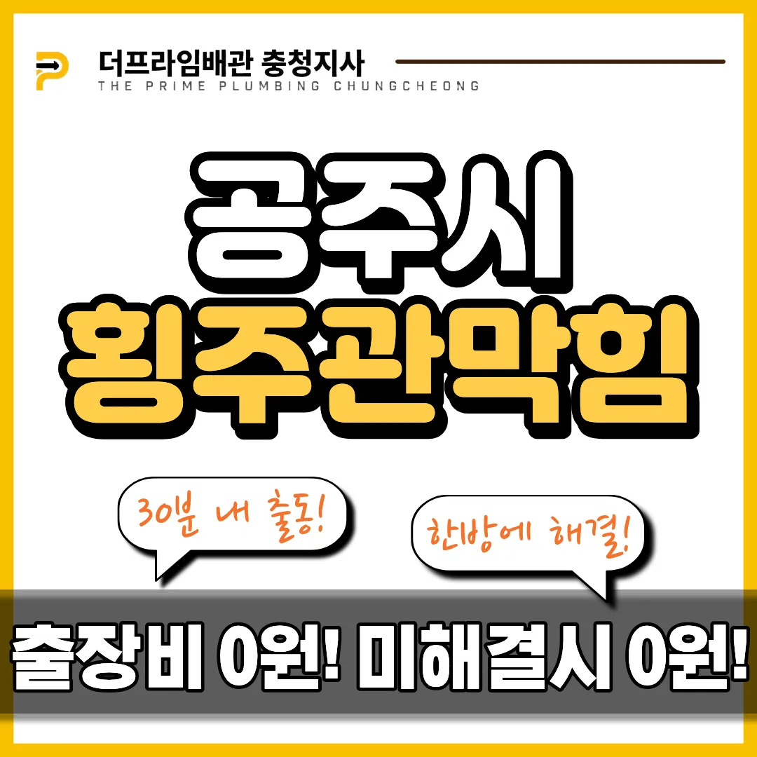 공주시횡주관막힘