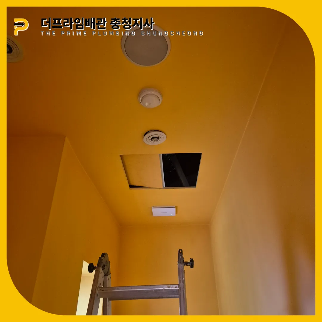 횡주관막힘