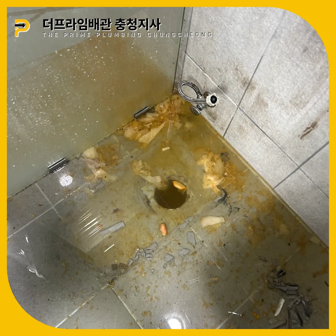 변기역류