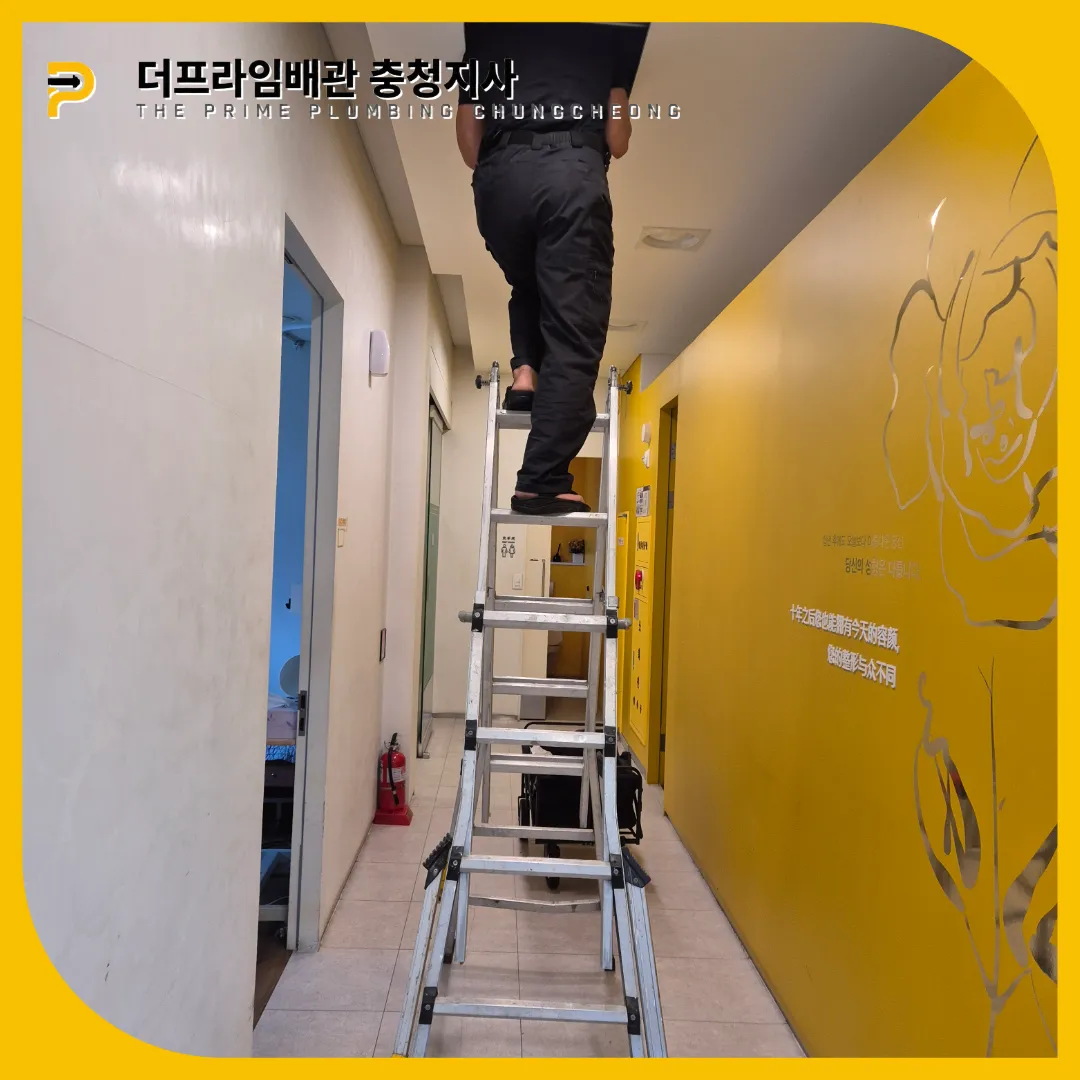 공주시횡주관막힘