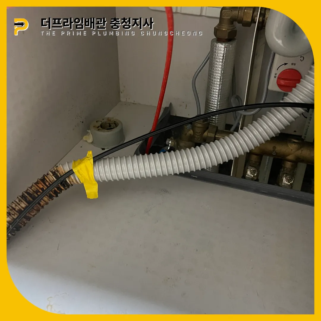 주름관찌든때