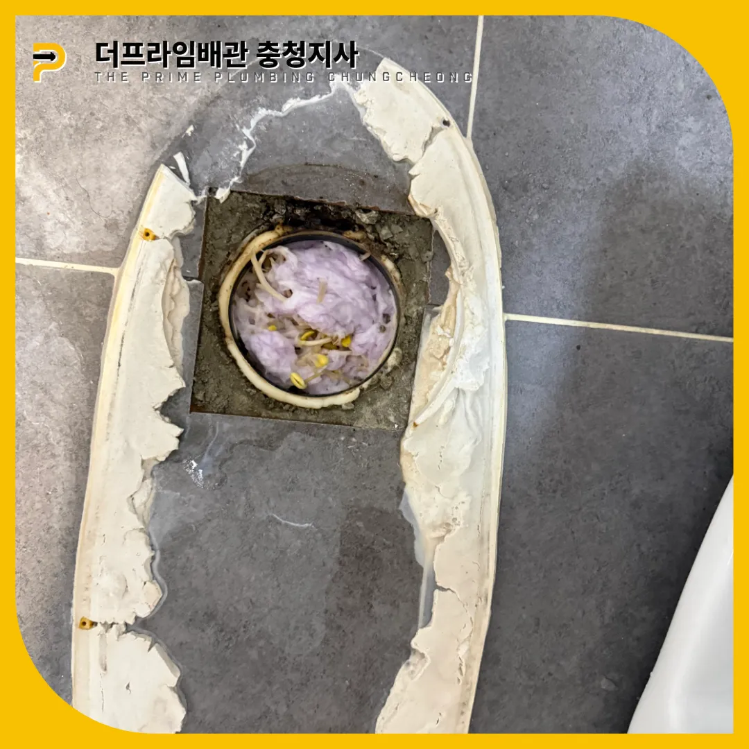 음식물막힘