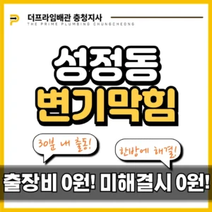 성정동변기막힘 딱딱한 대변 제거 현장