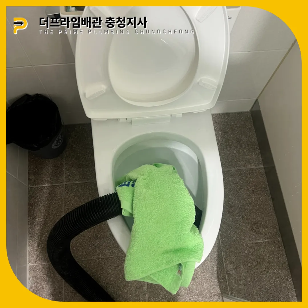 변기역류