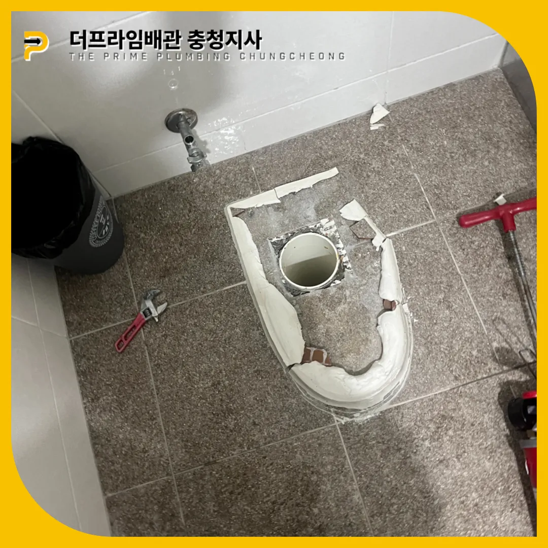 천안변기역류