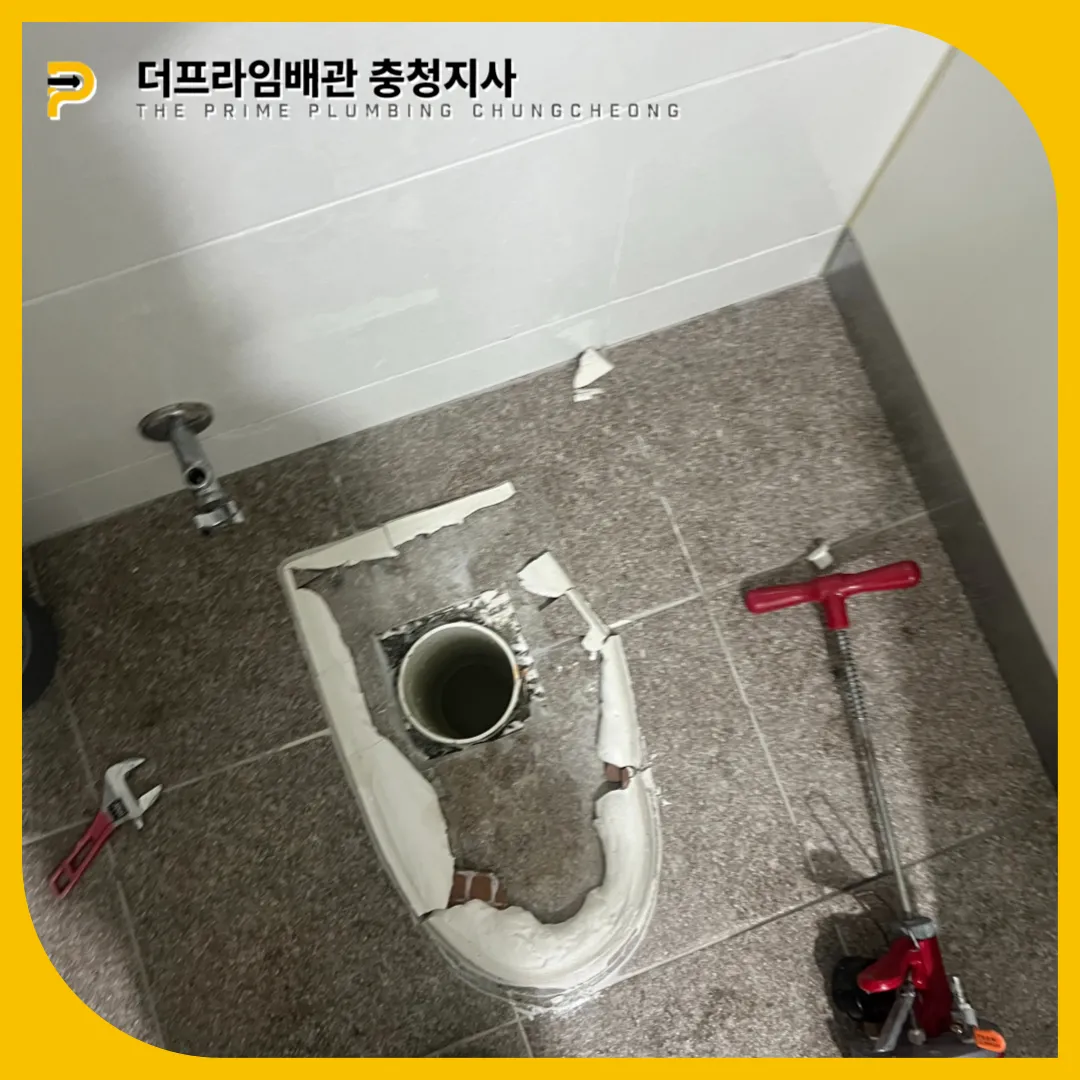 천안변기역류