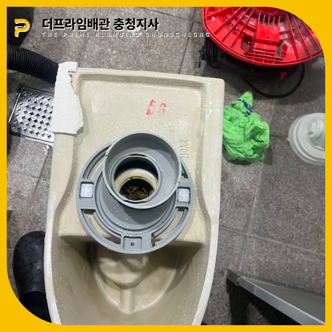 정심교체