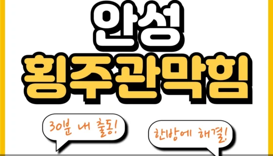 안성횡주관막힘