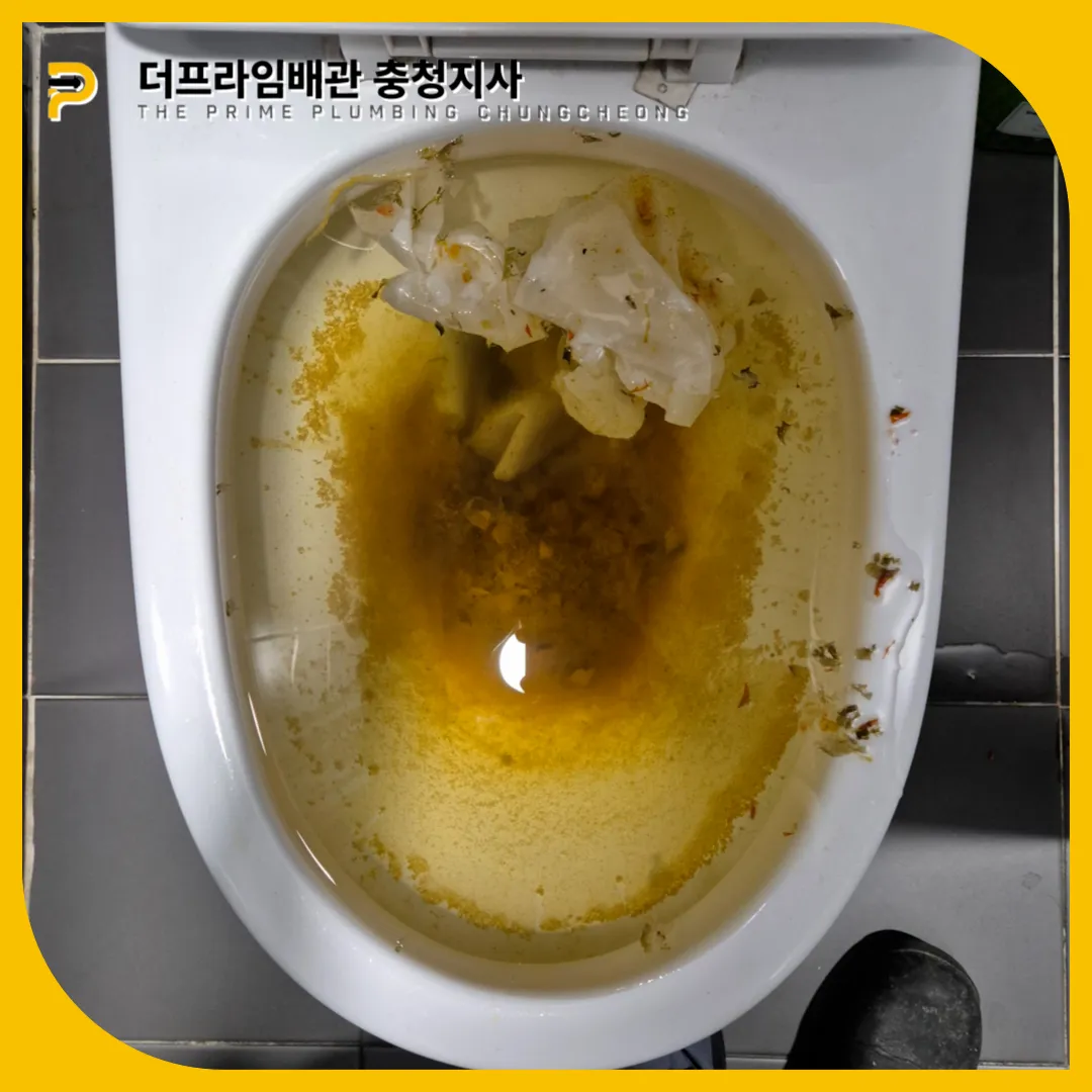 변기막힘