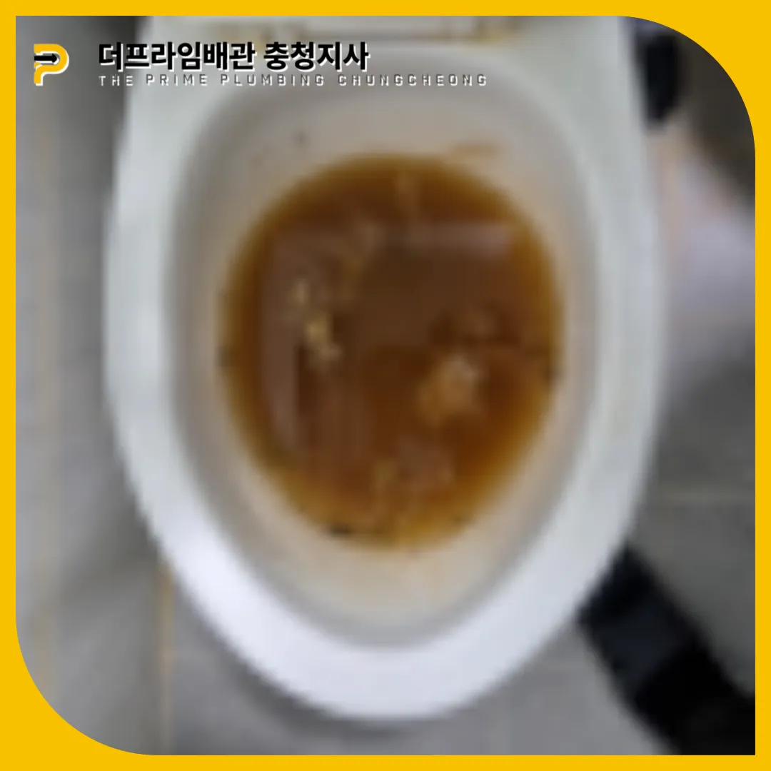 변기막힘