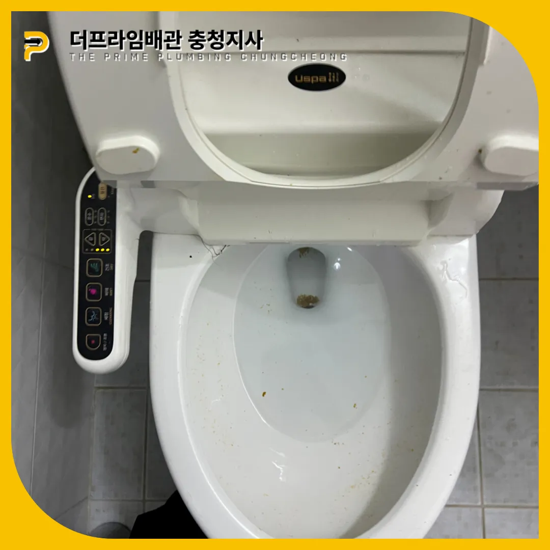 변기막힘