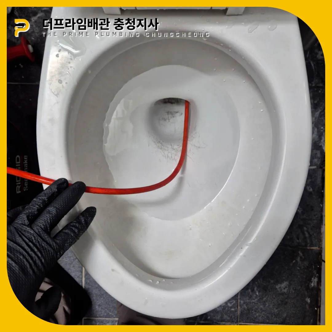 변기청소