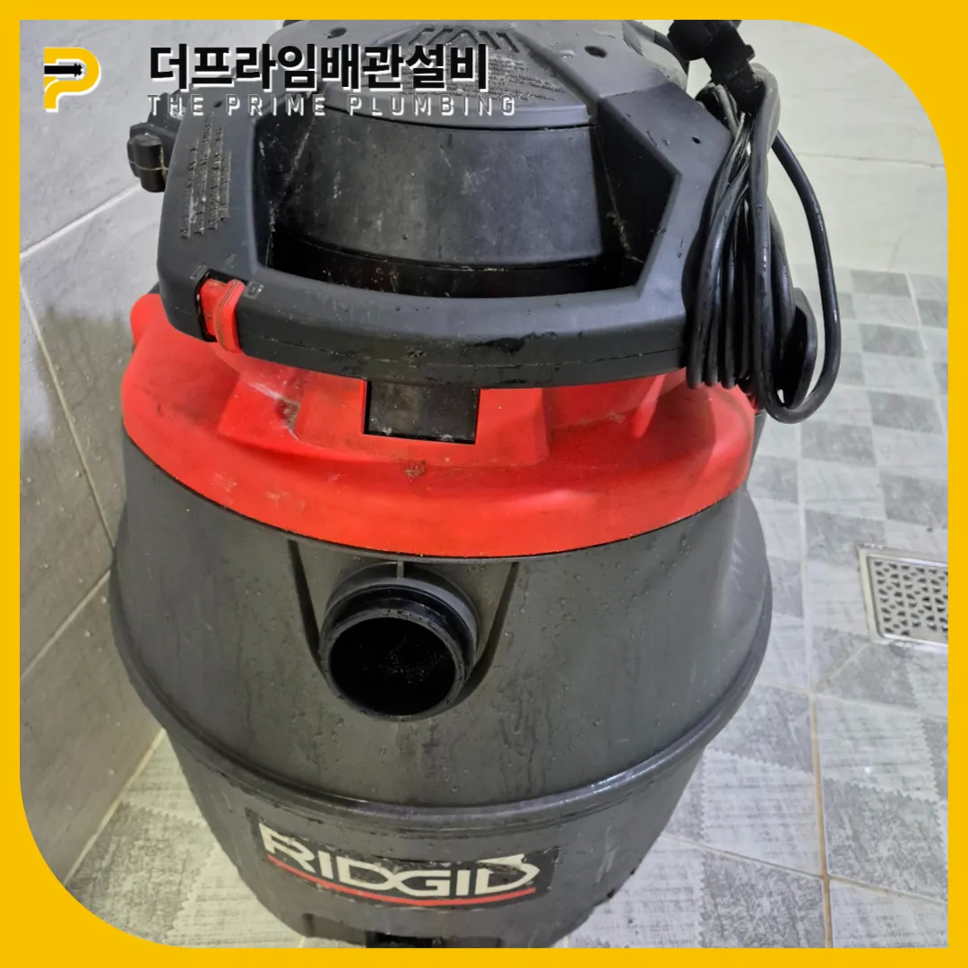 나무뿌리제거