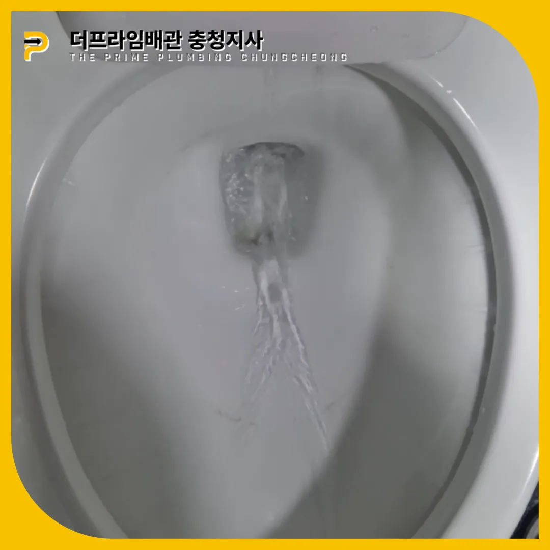 확실한해결업체