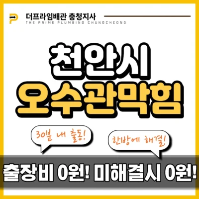 천안시오수관막힘