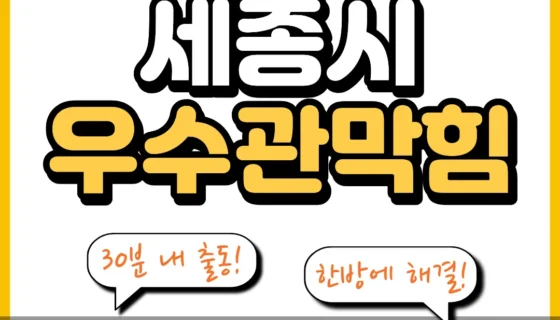 세종시우수관막힘