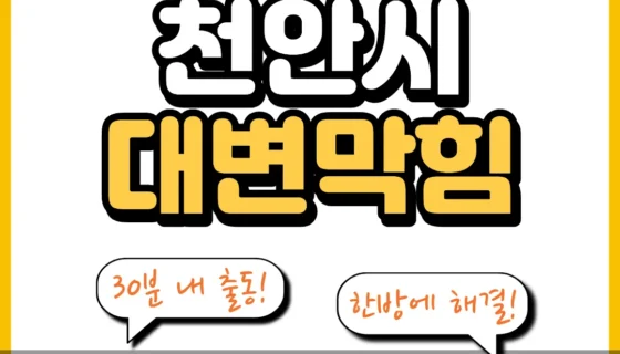 천안시대변막힘