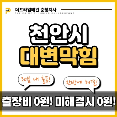 천안시대변막힘