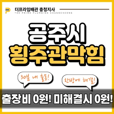 공주시횡주관막힘