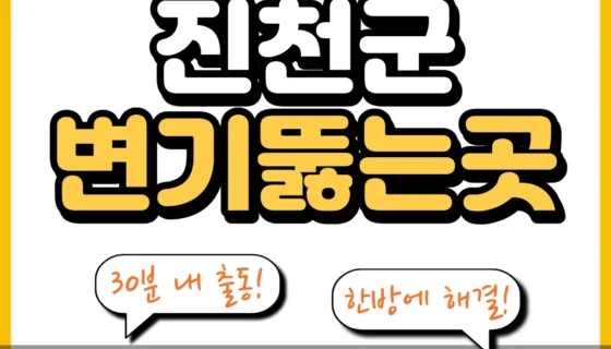 진천군변기뚫는곳