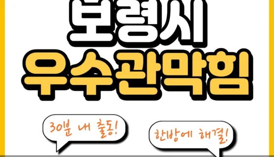 보령시우수관막힘