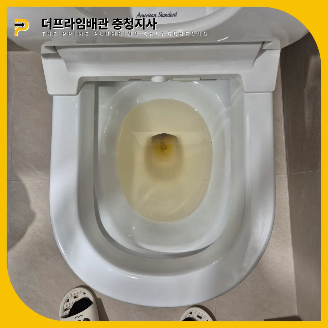 변기막힘