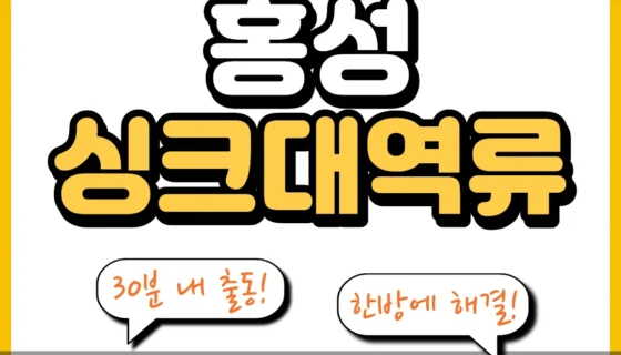 홍성싱크대역류