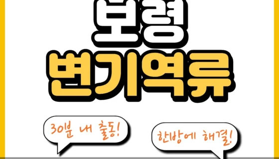 보령변기역류