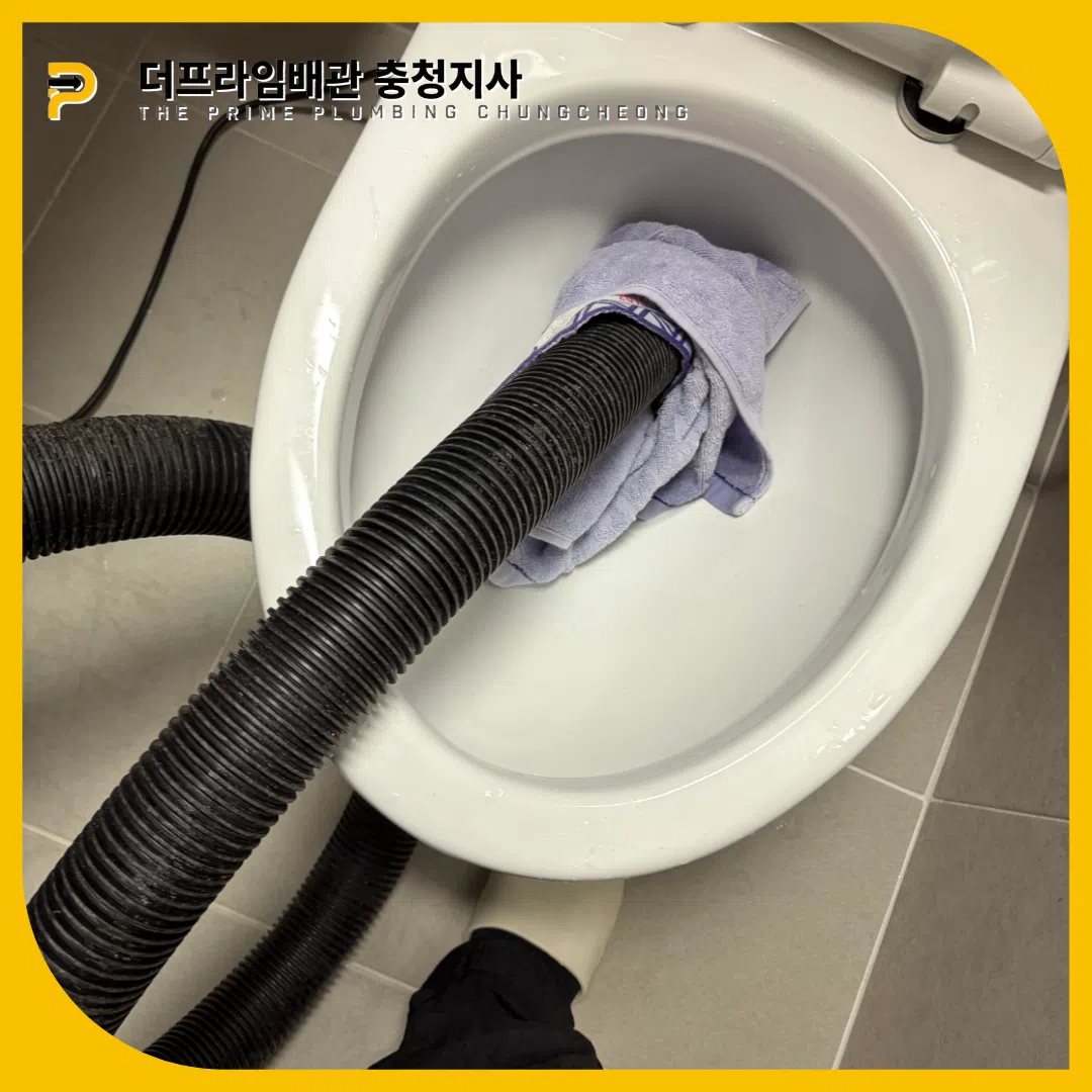 변기역류