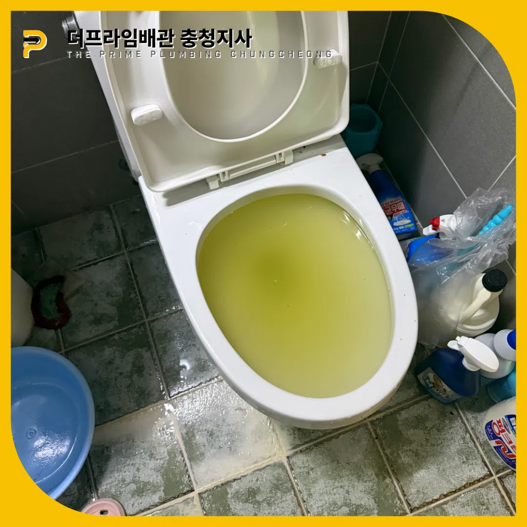 변기역류