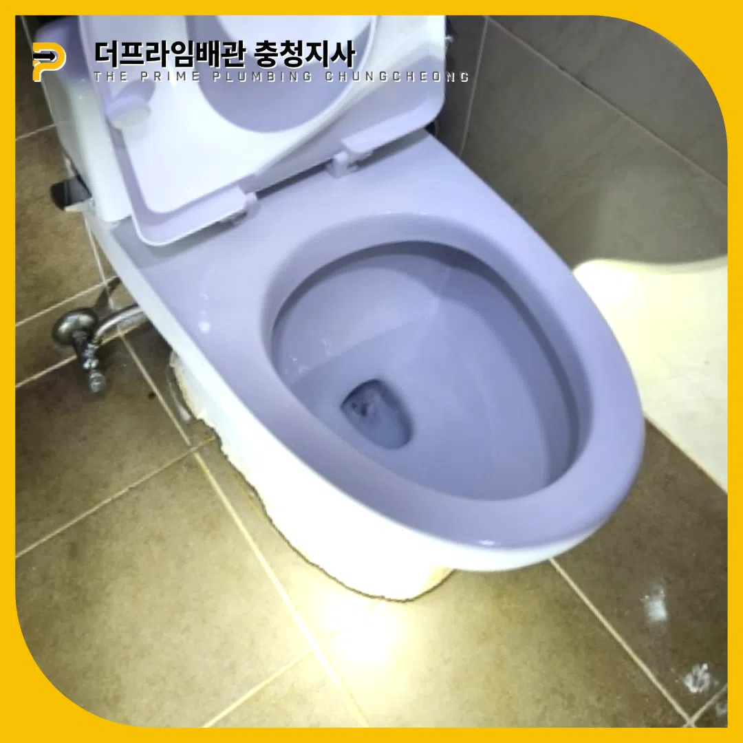 변기뚫는업체