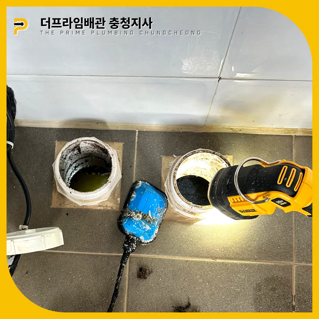 변기역류