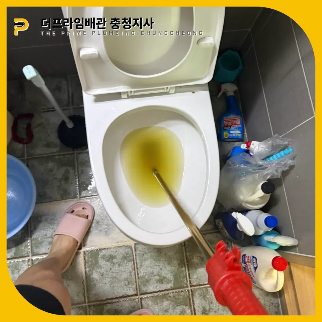 상가변기역류