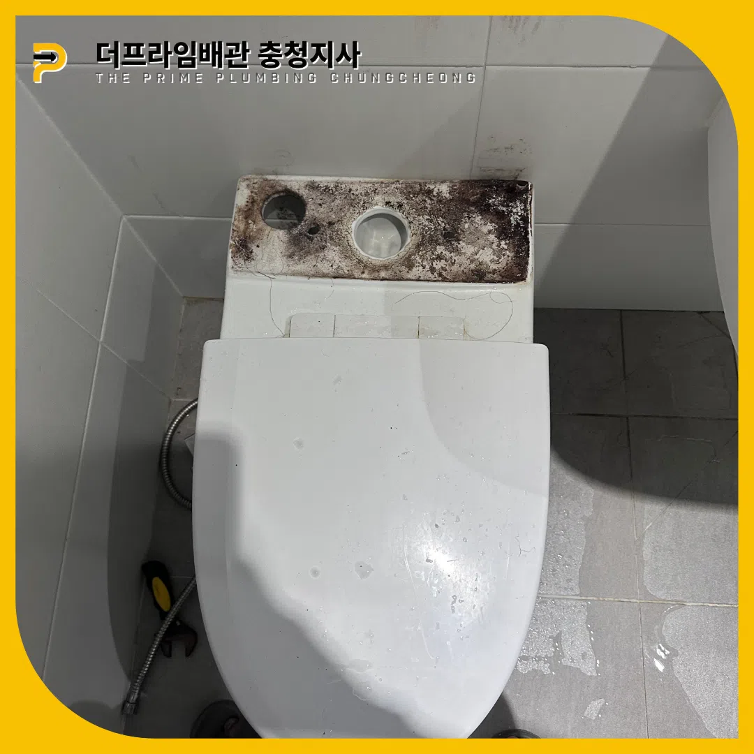 대전변기뚫는곳