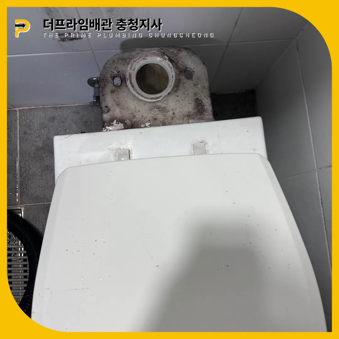 종촌동변기막힘