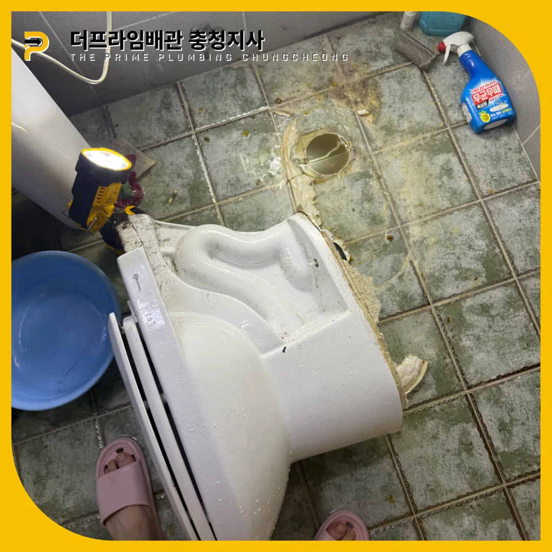 청양변기역류
