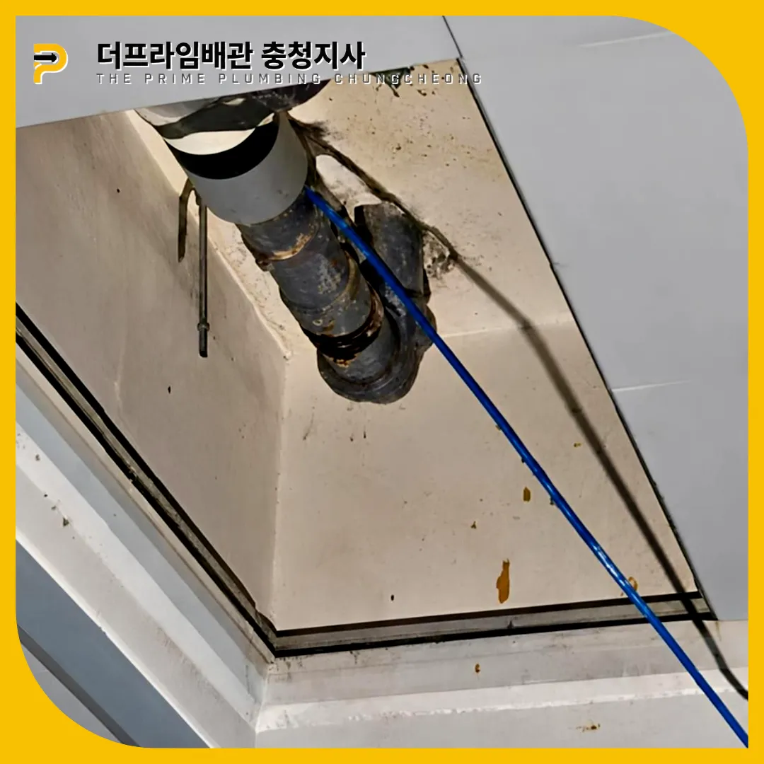 음성군변기뚫는곳