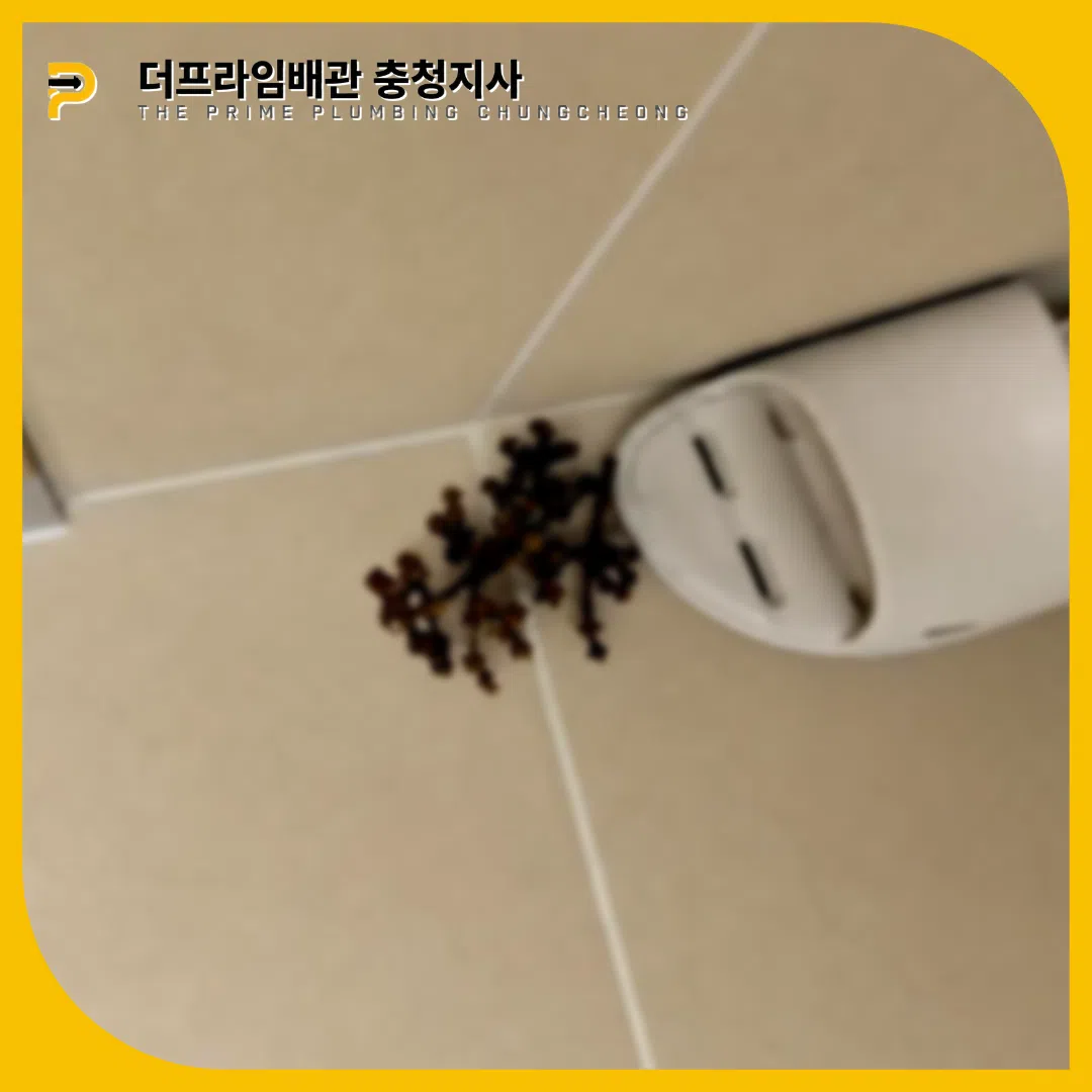 포도가지버림