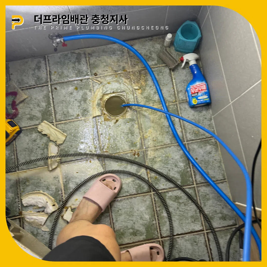 청양변기역류