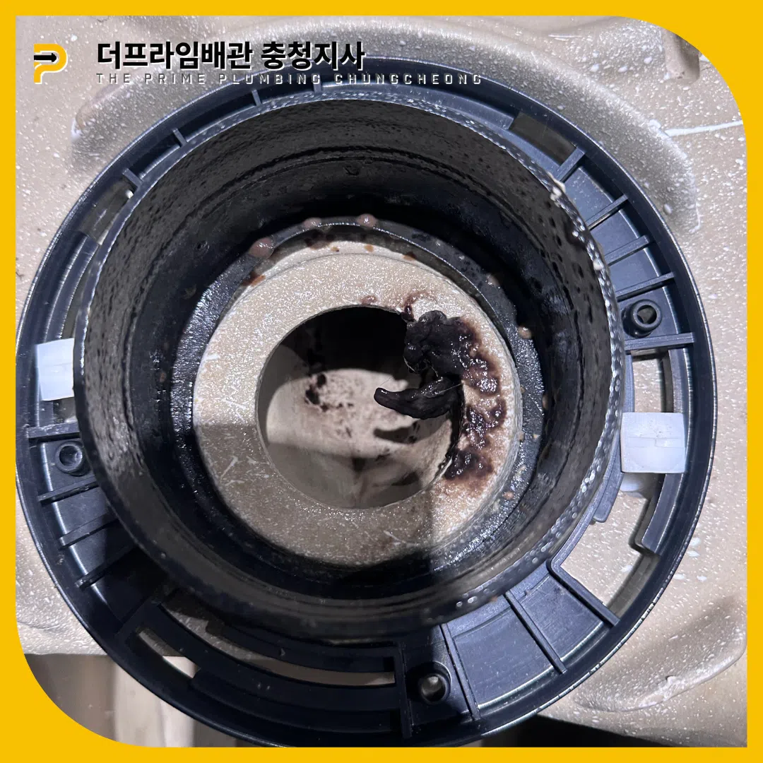 유성변기뚫는곳