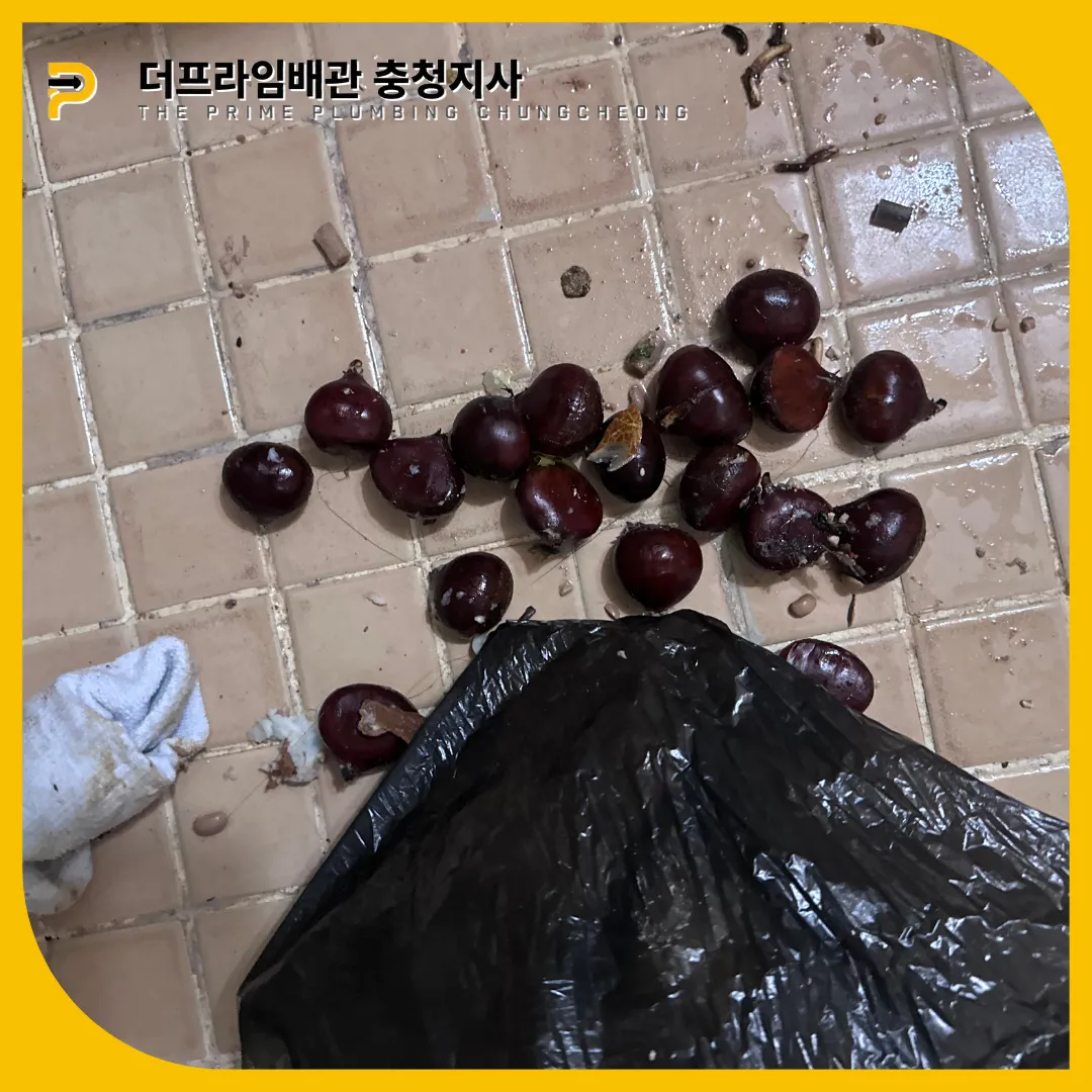변기음식물투기