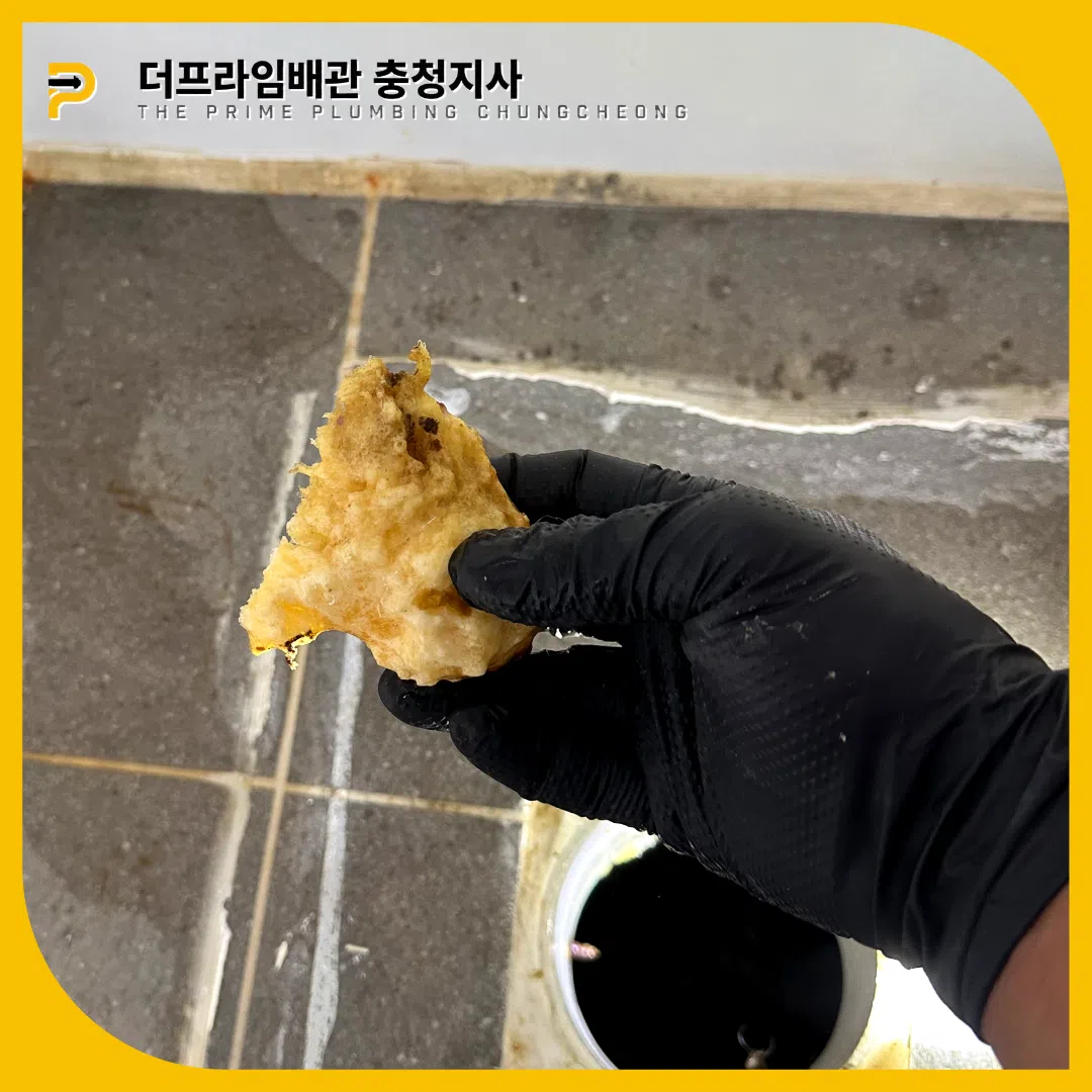 과일씨막힘