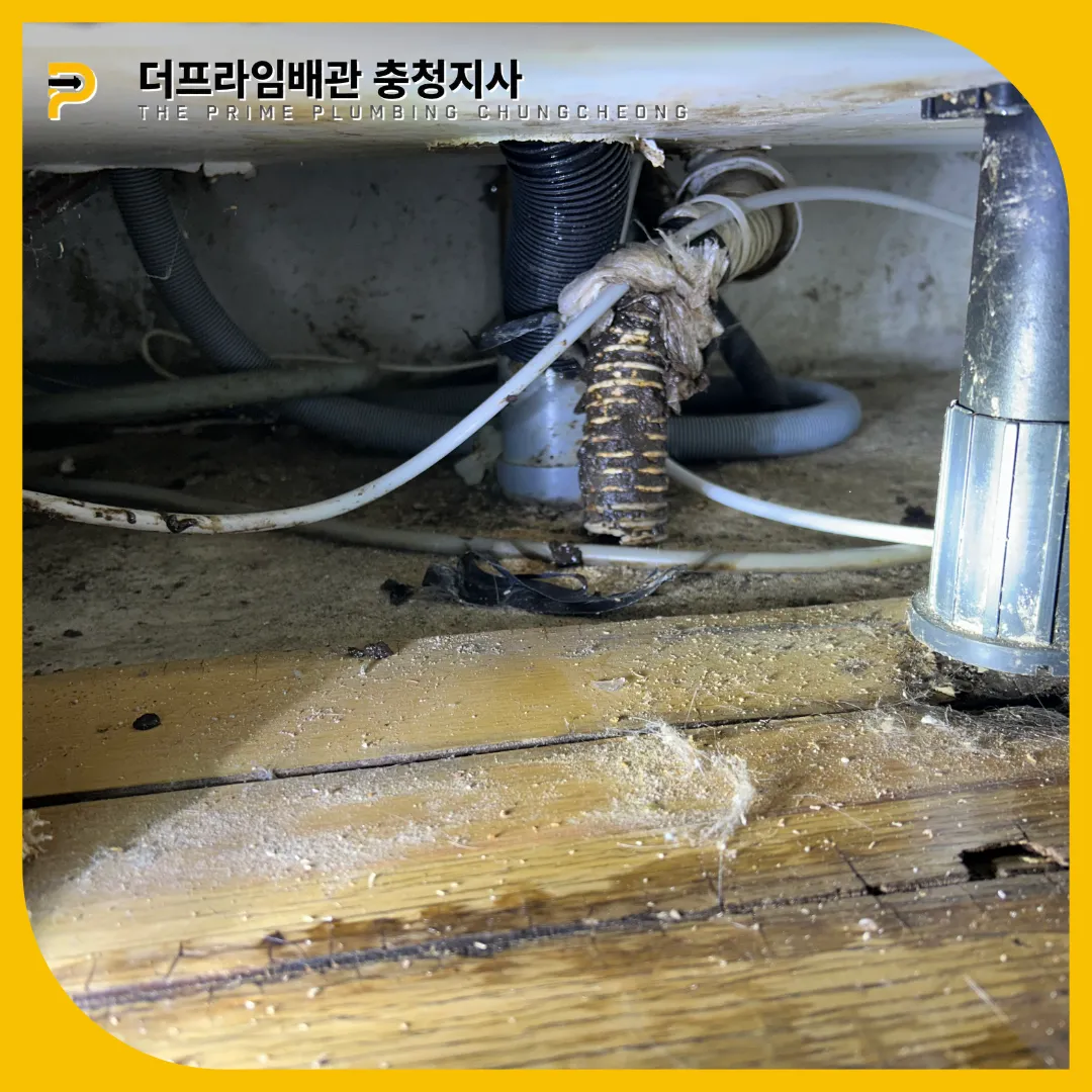 확실한해결업체