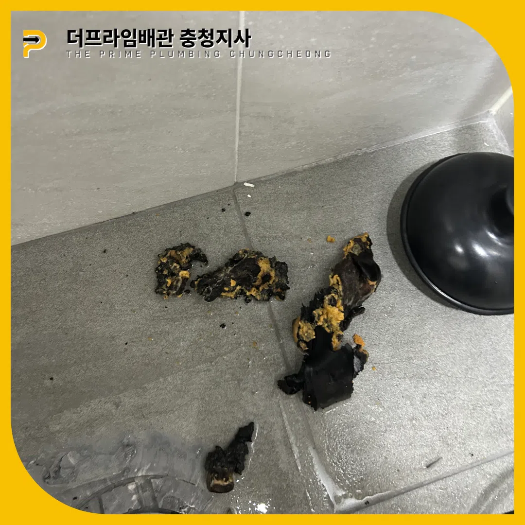 슬러지박멸