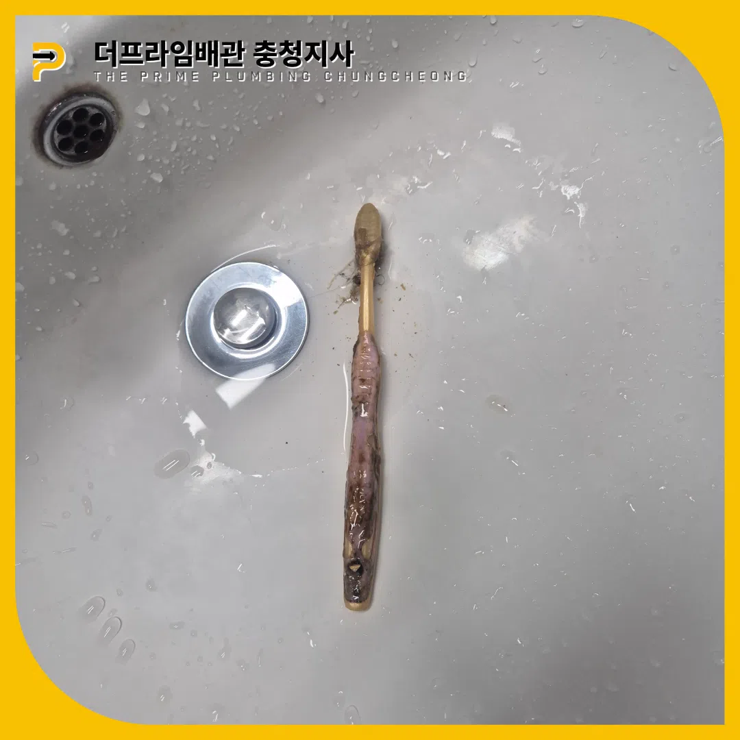칫솔제거